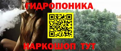 крисы Будённовск